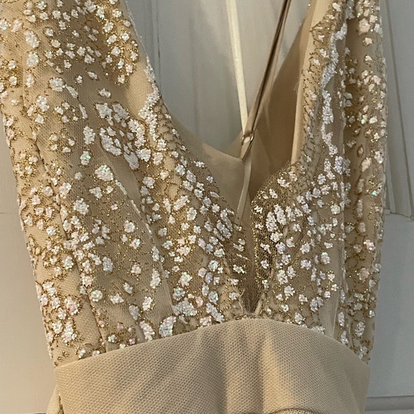 Long sheer ivory gown with lace bodice. - Picture 8 of 10